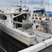 RV Bombora docked