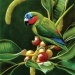 Illustration, Coxen's fig-parrot (Cyclopsitta diophthalma coxeni), critically endangered