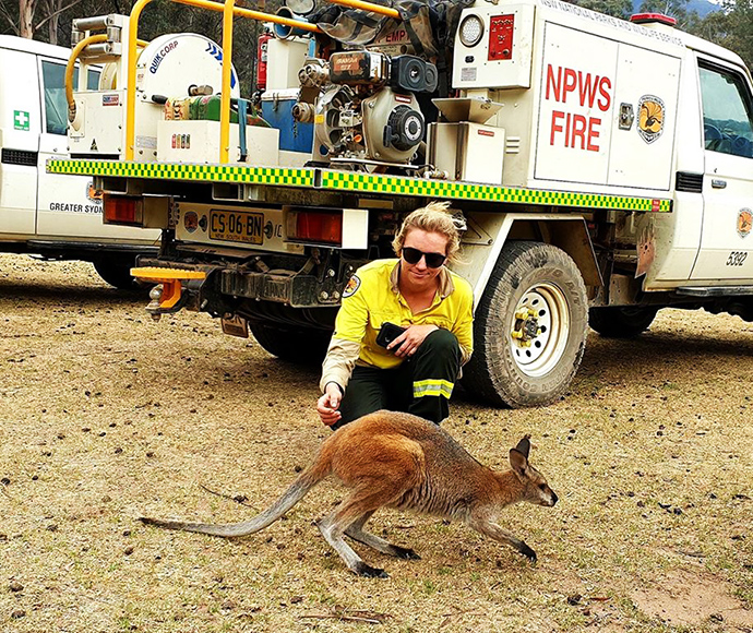 Firefighter with injured kangaroo