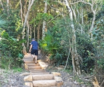 Man walking up stone steps through trees in national park