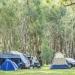 Blackman campground, Warrumbungle National Park