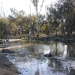 Gwynnes Creek Deniliquin in the Wakool district NSW