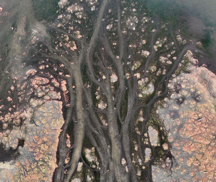 Aerial image of the Great Cumbung Swamp