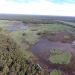 Aerial view of marshland
