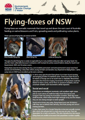 Flying-foxes of NSW publication cover
