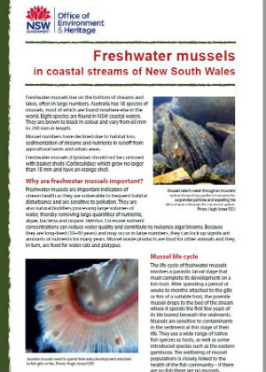 Freshwater mussels in coastal streams of New South Wales cover