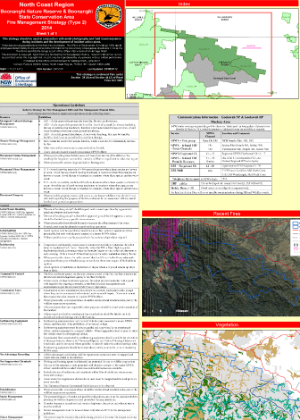 Boonanghi Nature Reserve and State Conservation Area Fire Management Strategy