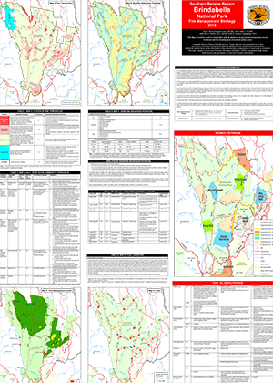 Brindabella National Park Fire Management Strategy