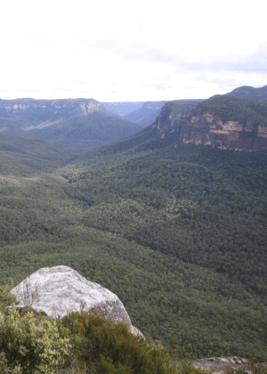 Blue Mountains National Park Plan of Management