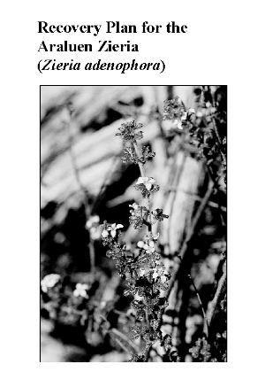 Recovery Plan for the Araluen Zieria (Zieria adenophora) cover.