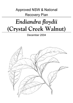 Approved NSW & National Recovery Plan Endiandra floydii (Crystal Creek Walnut) cover.