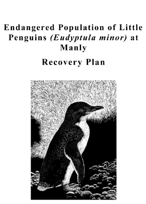 Endangered Population of Little Penguins (Eudyptula minor) at Manly Recovery Plan cover.