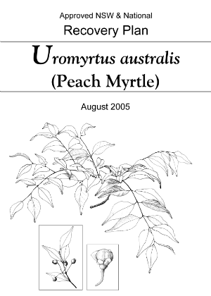 Approved NSW & National Recovery Plan Uromyrtus australis (Peach Myrtle) cover.
