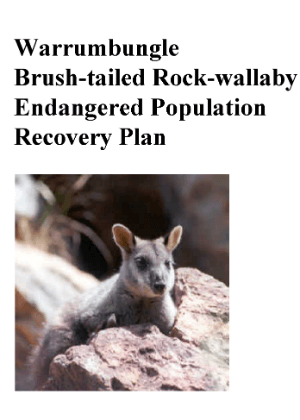 Warrumbungle Brush-tailed Rock-wallaby Endangered Population Recovery Plan cover.