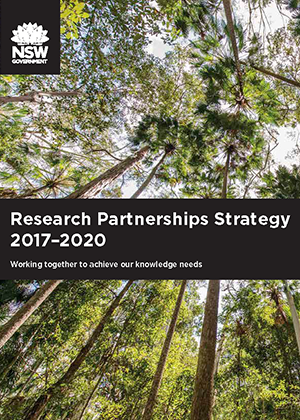 Cover of Research Partnerships Strategy