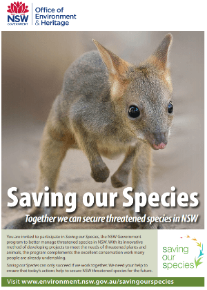Saving our Species brochure cover.