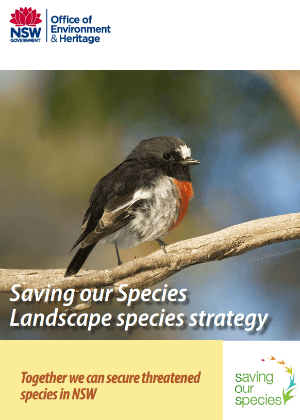 Saving our Species: Landscape species strategy cover.