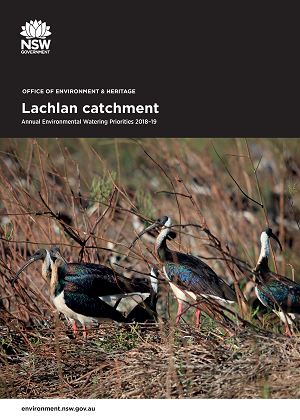 Cover of Lachlan catchment: Annual Environmental Watering Priorities 2018-19