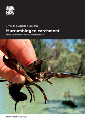 Cover of Murrumbidgee catchment: Annual Environmental Watering Priorities 2018-19