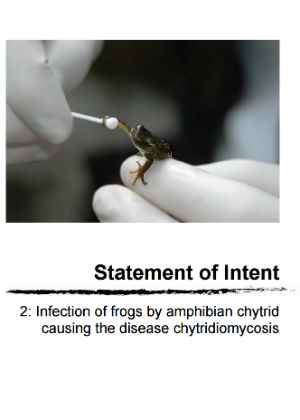 Infection of frogs by amphibian chytrid causing the disease chytridiomycosis publication cover.