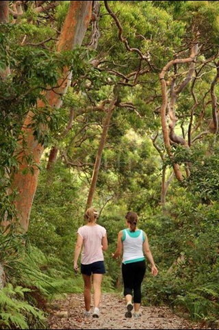 Two people walking away from camera on path surrounded by large trees and greenery.