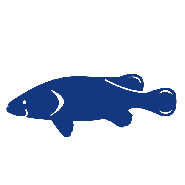 Icon of a fish