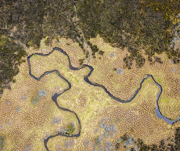 Aerial view of Polblue Swamp in Barrington Tops National Park showing the curving line of a water way through yellow and brown landscape with green bush on one side