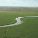 A river winding through a green wetland