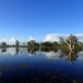 Southern Nature Reserve, Macquarie Marshes