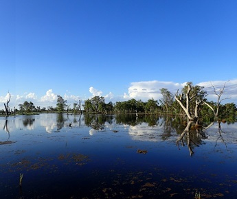 Southern Nature Reserve, Macquarie Marshes