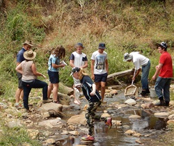 Citizen science macroinvertebrate project - collecting samples from a creek, Warrumbungles