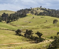 Farmland west of Bega, NSW