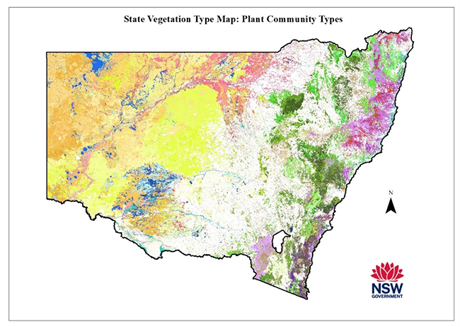 Image of the State Vegetation Type Map