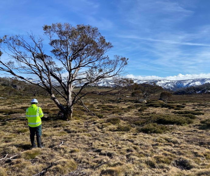 A project officer servicing cameras in Kosciuszko National Park.