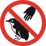 No touching little penguins sign