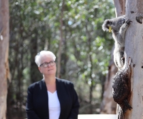 Minister for the Environment Penny Sharpe visited Mack at the Wildlife Health and Conservation Hospital