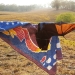 A towel placed over a black flying-fox (Pteropus alecto) during a rescue