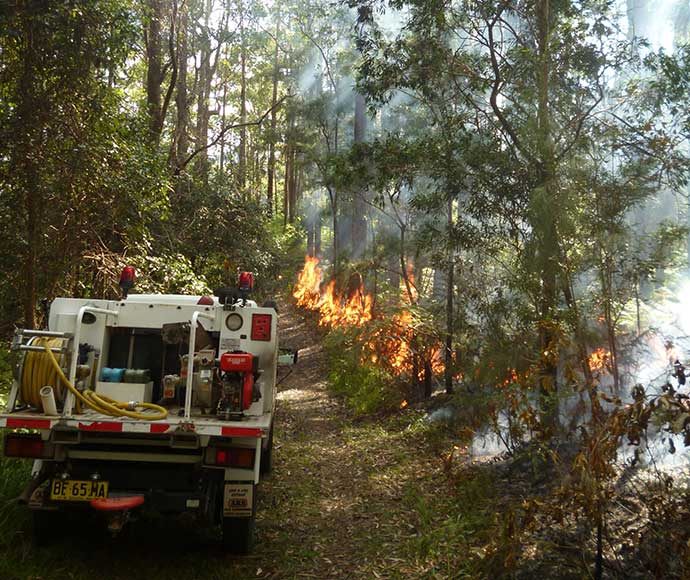 Cat9 forest flames hazard reduction burn Bongil Bongil National Park