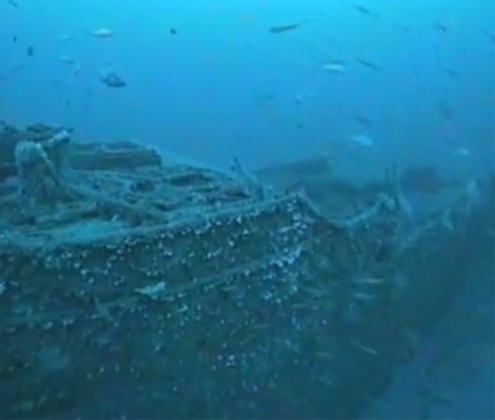 Murky blue water with fish and scallops on the starboard side of the wreck of the SS Nemesis on the seabed
