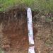 Soil profile of Brown-Orthic Tenesol in the Hunter Valley