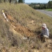 Recording soil data in the field by a roadside embankment