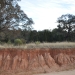 Sodic Red Chromosol on colluvial footslopes below steep Narrabeen Sandstones south of Merriwa in the Hunter catchment.