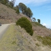 Shallow, stony Tenosols on steep lands near Mount Royal, west of Muswellbrook, NSW
