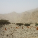 Graveyard near a wadi floor village 