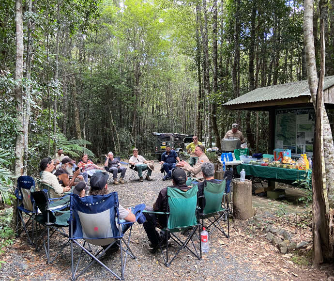 A circle of people sitting in camping chairs in a clearing surrounded by long slender trees with a gentle light coming through the green ferns, fronds and foliage