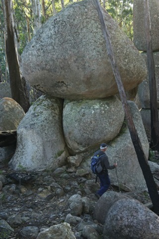Granite Tors, Gulaga National Park