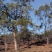Landscape, Aboriginal cultural heritage Mount Grenfell Historic Site