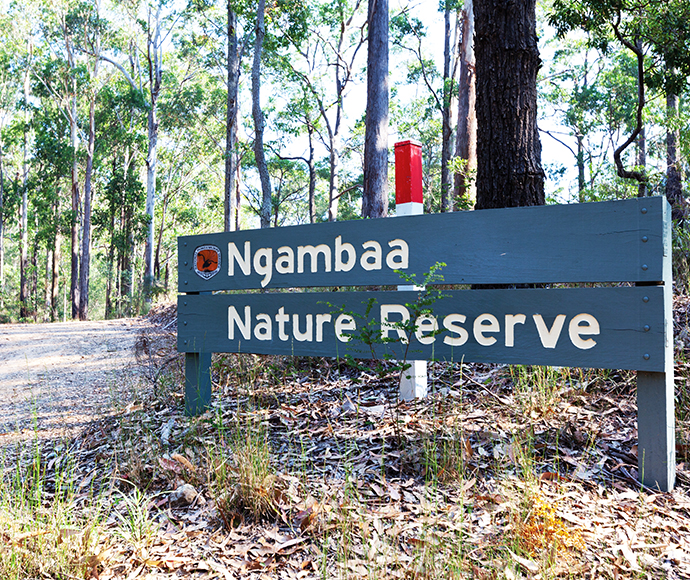 Ngambaa Nature Reserve entry point