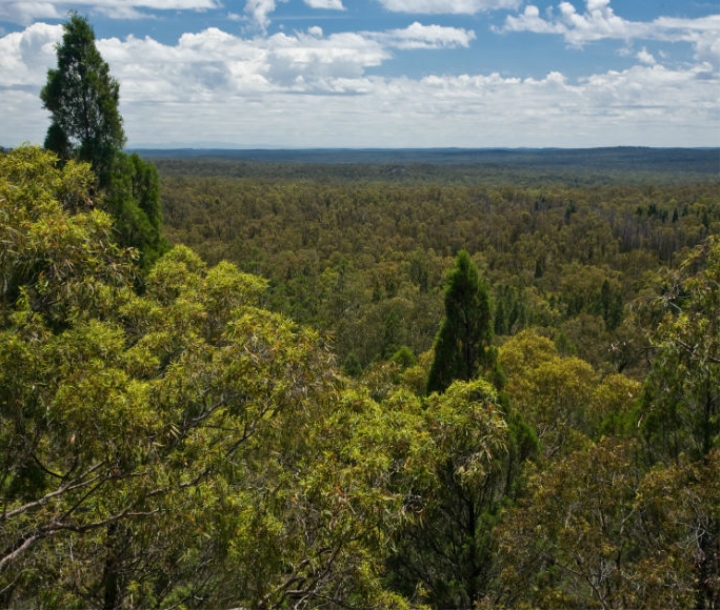 Pilliaga Sate Conservation Area in north-west NSW is one of the parks involved in reintroducing locally extinct mammals