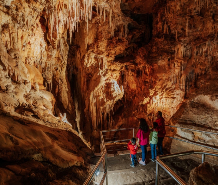 A family of 2 adults and 2 children on a viewing platform inside Fig Tree Cave, admiring the stalactites